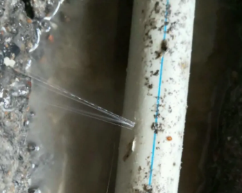 同江卫生间测漏水多少钱