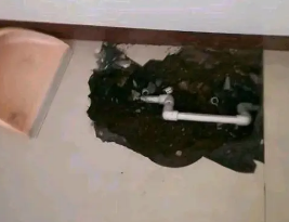同江卫生间测漏水多少钱